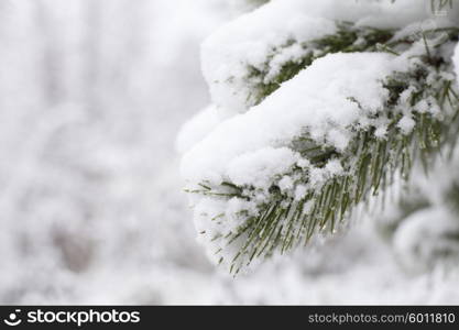 Closeup of Christmas-tree