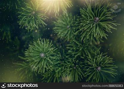 Closeup of Christmas tree background with christmas lights and snowflakes. New year holiday background. Closeup of Christmas tree background
