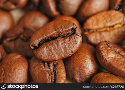 Closeup of coffee beans, top view. Coffee