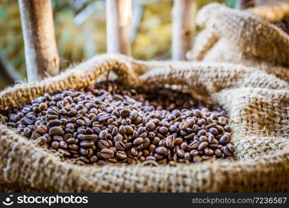 Closeup of coffee beans with sunlight in gunny bag