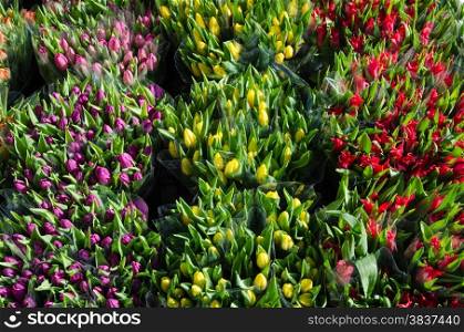 Closeup of colorful bouquets of tulips for sale at a flower market