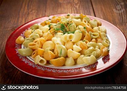 closeup of Colorful Italian conchiglie gourmet pasta