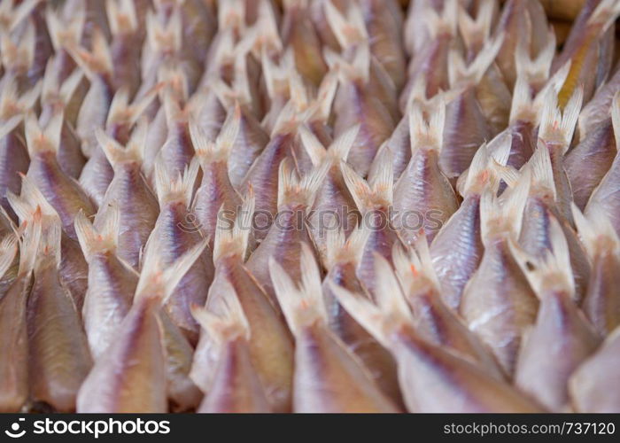 Closeup of dried fish preservation in food market