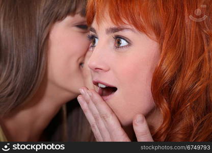 closeup of female duo sharing secrets