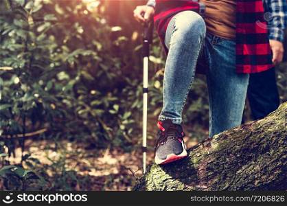 Closeup of female traveler legs and team group crossing log in forest for hiking to mountain top with trekking stick. Woman leaping tree trunk in jungle. Adventure and people activity in wild life