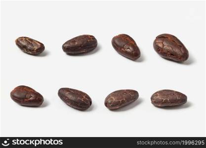 Closeup of few lines of arranged organic peeled beans of Theobroma cacao tree on white background. Rows of peeled texture cocoa beans