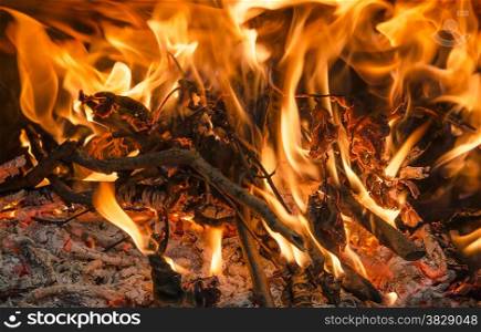 Closeup of firewood Burning fire in fireplace, horizontal shot
