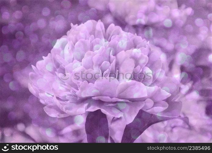 Closeup of flower vintage color. Filtered image in retro style. Art floral background with paper texture overlay.. Grungy floral background