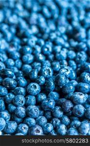 Closeup of fresh blueberries