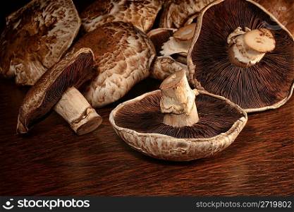 Closeup of fresh portobello mushrooms