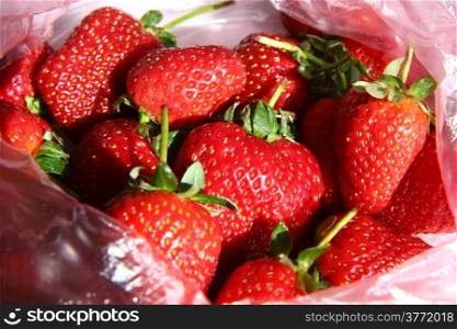 Closeup of fresh red strawberries in palstic beg