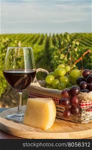 Closeup of glass of red wine with grapes in a basket and cheese in front of a vineyard. Closeup of glass of red wine in front of a vineyard