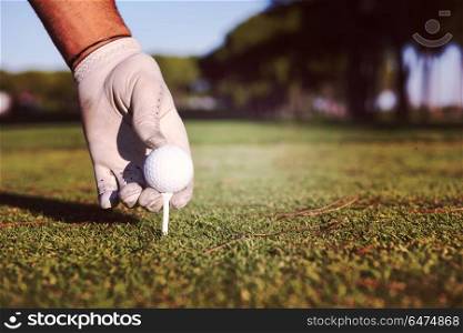 closeup of golf players hand placing ball on tee. beautiful sunrise on golf course landscape in background. close up of golf players hand placing ball on tee