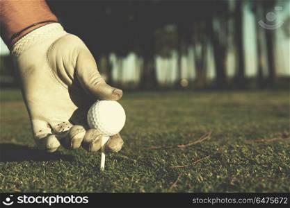 closeup of golf players hand placing ball on tee. beautiful sunrise on golf course landscape in background. close up of golf players hand placing ball on tee