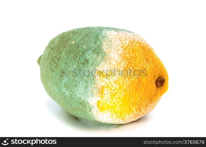 Closeup of green moldy lemon citrus fruit isolated on white. Damaged food.