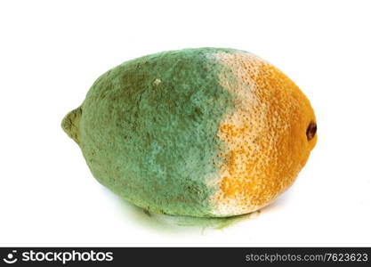 Closeup of green moldy lemon citrus fruit isolated on white. Damaged food.