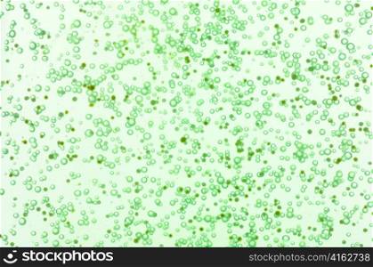 closeup of green shower gel structure