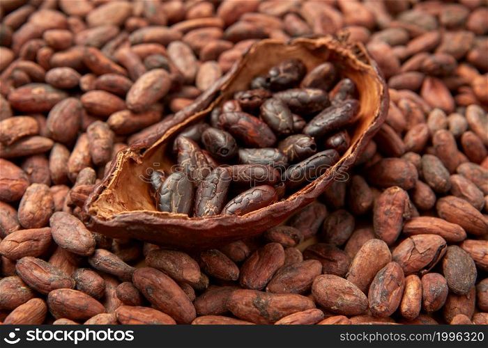 Closeup of half of pod filled with peeled organic beans of Theobroma cacao tree on bunch of unpeeled beans. Pile of raw aromatic cocoa beans