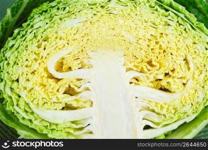 Closeup of half sliced cabbage head