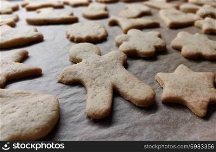 closeup of homemade cookies in different shapes with intentional blur
