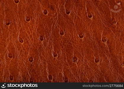 Closeup of leather texture background.