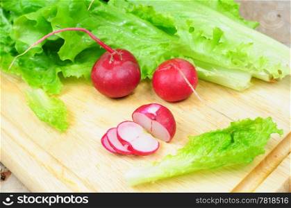 Closeup of lettuce and radish on white background