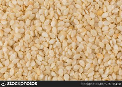 Closeup of lots of sesame seeds for background