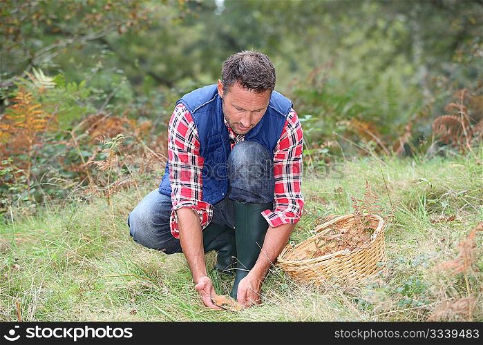 Closeup of man with basket looking for mushrooms on the ground