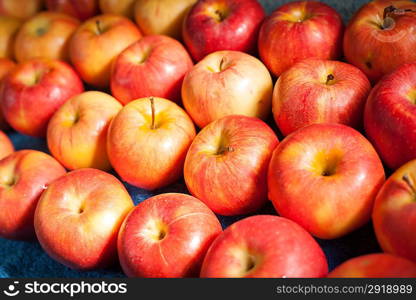 Closeup of many red-yellow juicy apple fruits in market. Many fresh natural organic apples candid shot.