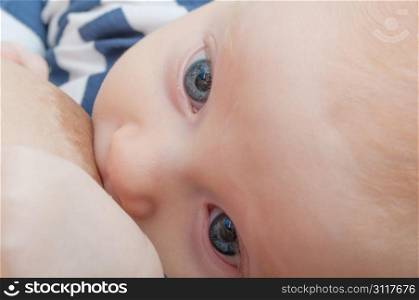 Closeup of Mother Breast Feeding Her Baby