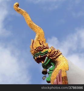 closeup of naga on beautiful sky background