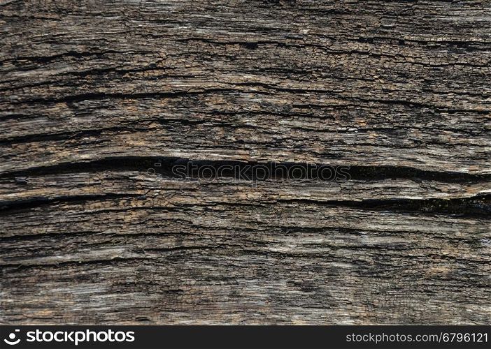 Closeup of old natural weathered cracked wooden board texture