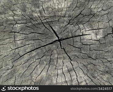 closeup of old wood background