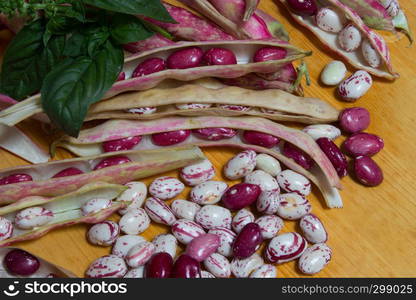 closeup of peeled beans