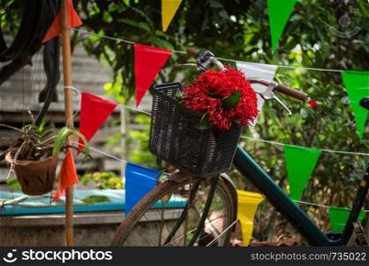 Closeup of red flower in bicycle basket