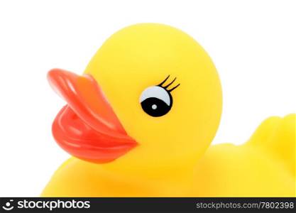 closeup of rubber duck bath flat on white background