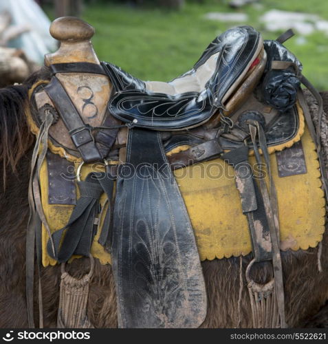 Closeup of saddle on horse, Finca Santa Isabel, Copan, Copan Ruinas, Copan Department, Honduras