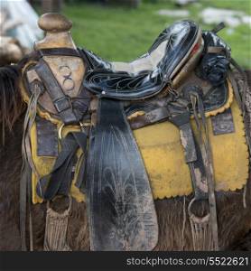 Closeup of saddle on horse, Finca Santa Isabel, Copan, Copan Ruinas, Copan Department, Honduras