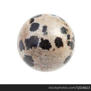 closeup of sample of natural mineral from geological collection - bead from Dalmatian Jasper rock isolated on white background. bead from Dalmatian Jasper rock isolated