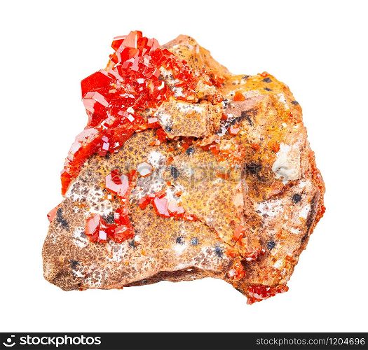 closeup of sample of natural mineral from geological collection - druse of Vanadinite crystals on rock isolated on white background. druse of Vanadinite crystals on rock isolated