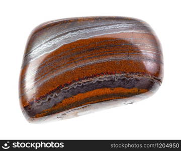 closeup of sample of natural mineral from geological collection - polished Jaspillite rock isolated on white background. polished Jaspillite rock isolated on white