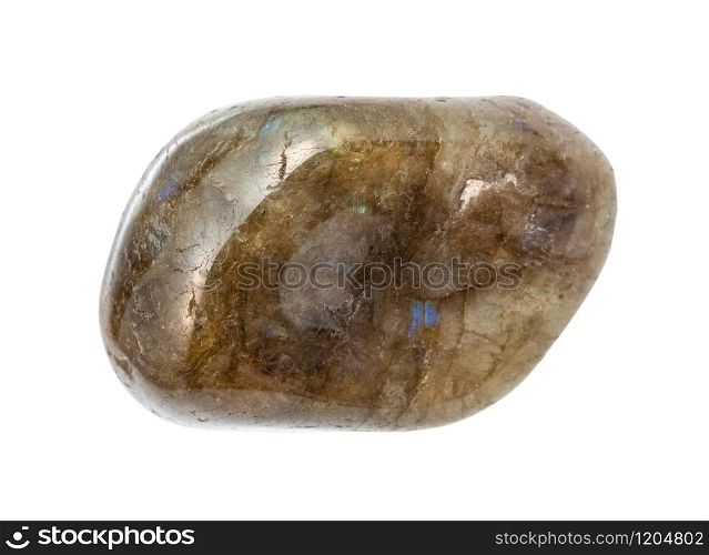 closeup of sample of natural mineral from geological collection - polished Labradorite gemstone isolated on white background. polished Labradorite gemstone isolated on white
