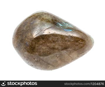 closeup of sample of natural mineral from geological collection - polished Labradorite gem stone isolated on white background. polished Labradorite gem stone isolated on white