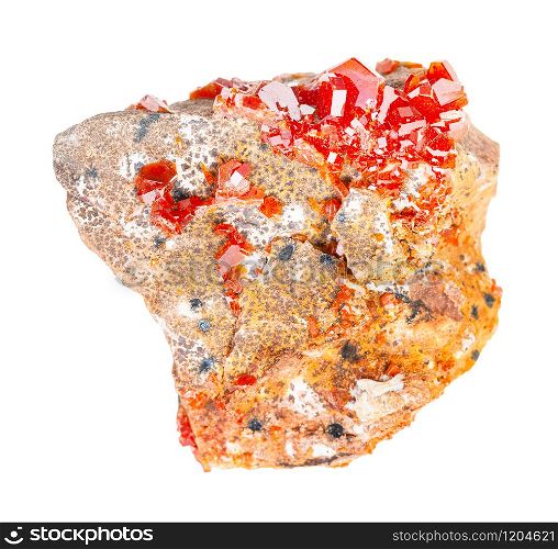 closeup of sample of natural mineral from geological collection - rough Vanadinite crystals on rock isolated on white background. rough Vanadinite crystals on rock isolated