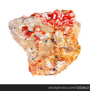 closeup of sample of natural mineral from geological collection - rough Vanadinite crystals on rock isolated on white background. rough Vanadinite crystals on rock isolated