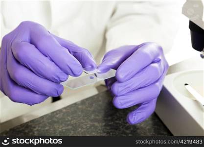 Closeup of scientist&rsquo;s hands as he prepares a slide for the the microscope.