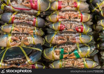 Closeup of sea crab in market