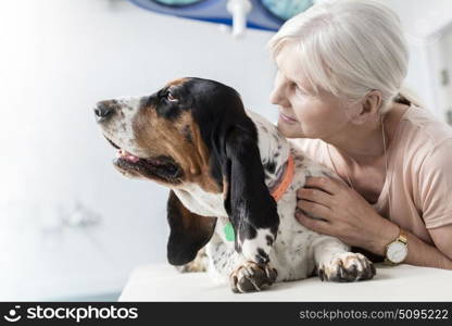 Closeup of senior woman with dog on bed at veterinary clinic