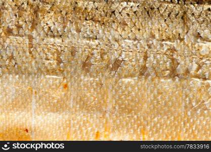 Closeup of shiny scales salmon. Macro fish skin as food animal background texture.