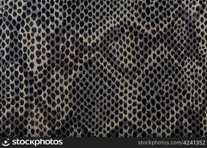 Closeup of snake Skin Leather Texture.